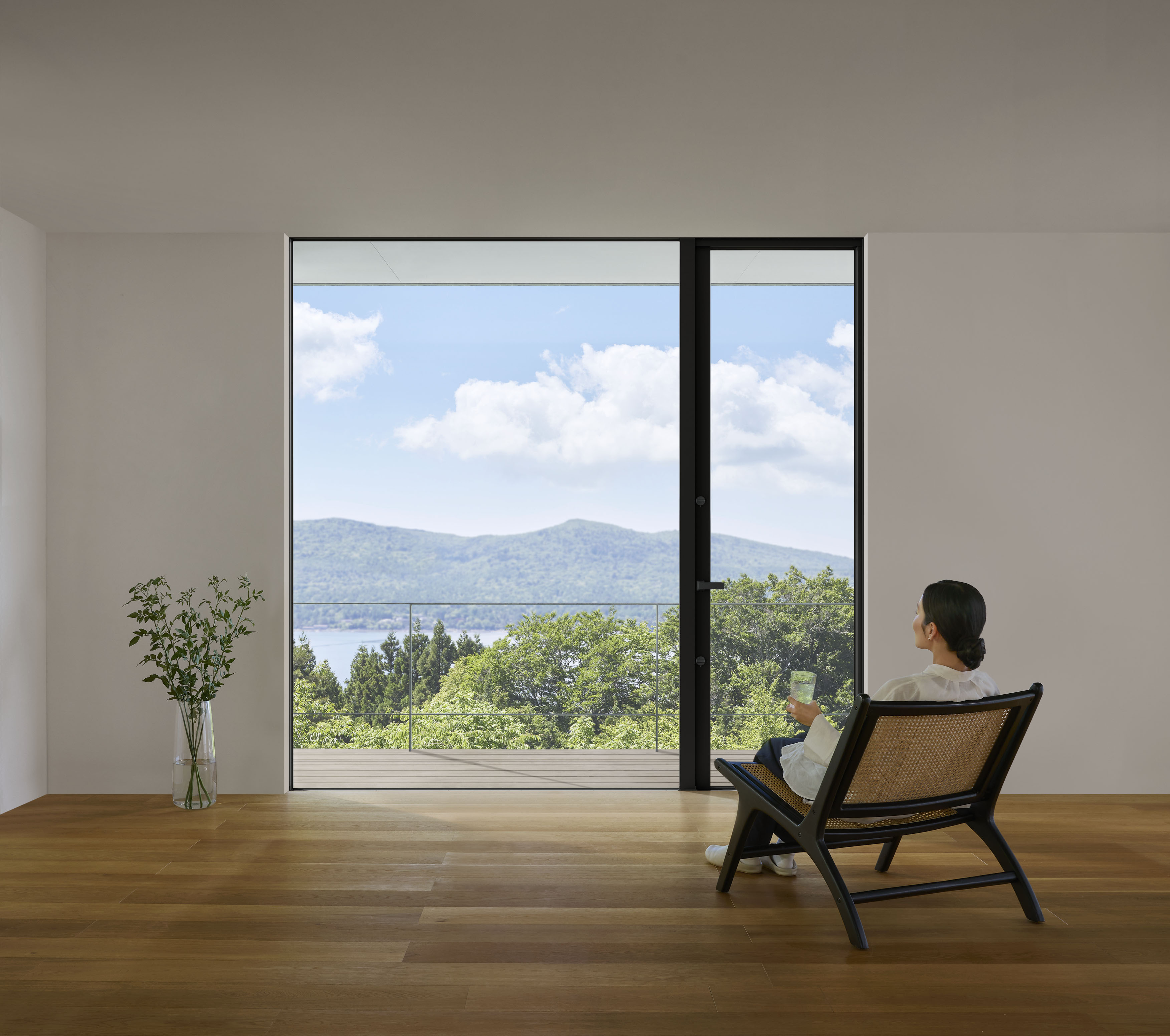 TWコンセプト　パノラマドア